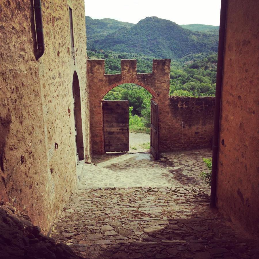 Castello Di Potentino Seggiano Exterior foto