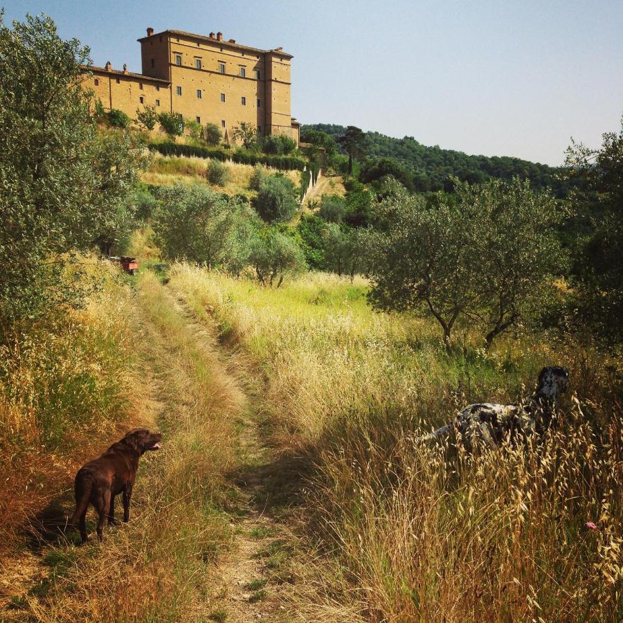 Castello Di Potentino Seggiano Exterior foto