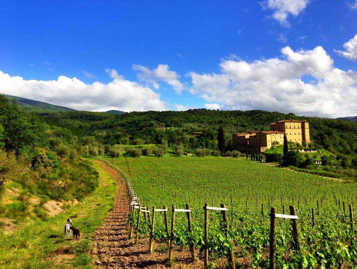 Castello Di Potentino Seggiano Exterior foto